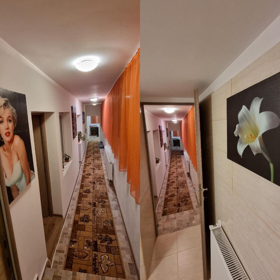 فيلا Roca House براشوف المظهر الخارجي الصورة