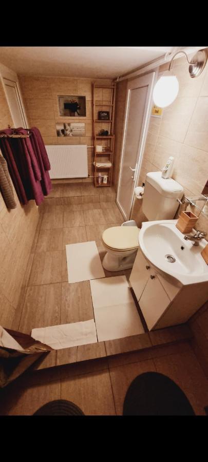 فيلا Roca House براشوف المظهر الخارجي الصورة