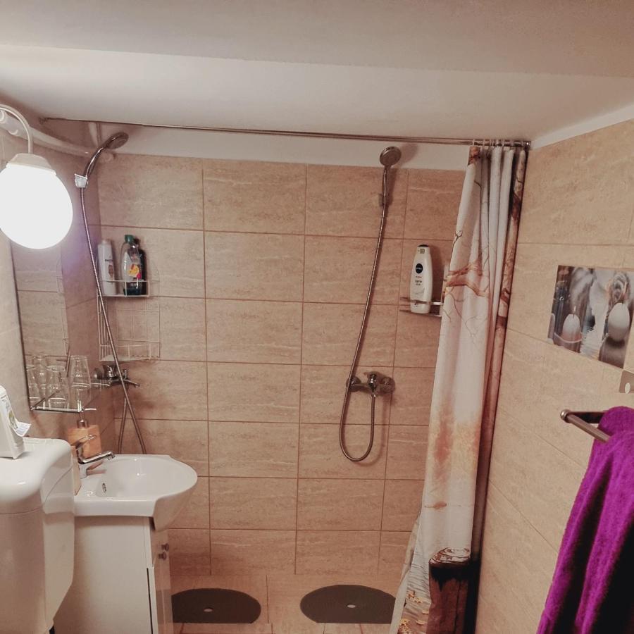 فيلا Roca House براشوف المظهر الخارجي الصورة