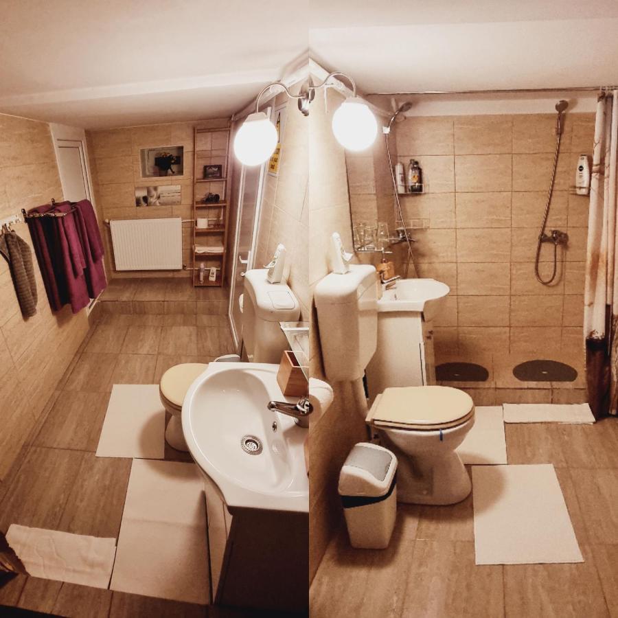 فيلا Roca House براشوف المظهر الخارجي الصورة