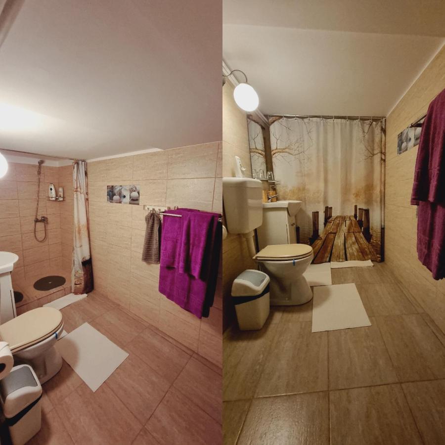 فيلا Roca House براشوف المظهر الخارجي الصورة