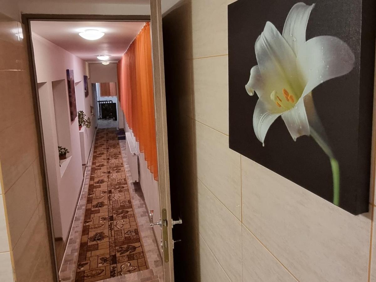 فيلا Roca House براشوف المظهر الخارجي الصورة